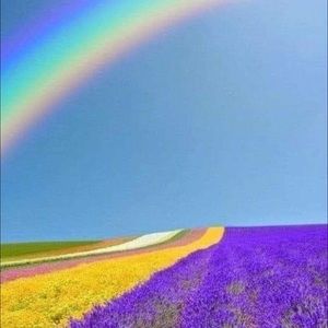 Meet your Posher, Marina